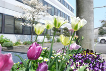 04-1