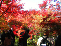 宝筺院 ③
