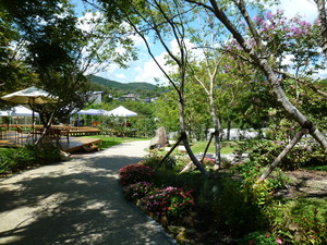 5ced5f02.jpg