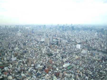展望デッキ