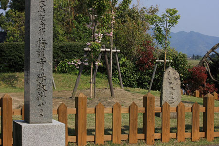 数珠掛け桜 石碑