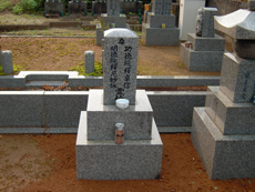 cf0650c7