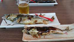 塩焼き、魚田