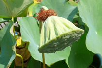 P1040724