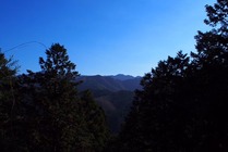 738c8e77.jpg