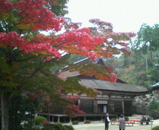 201011141059000