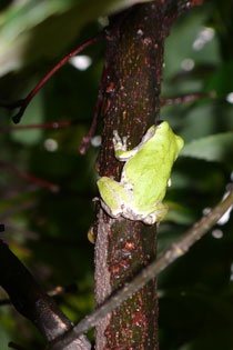 P1040364