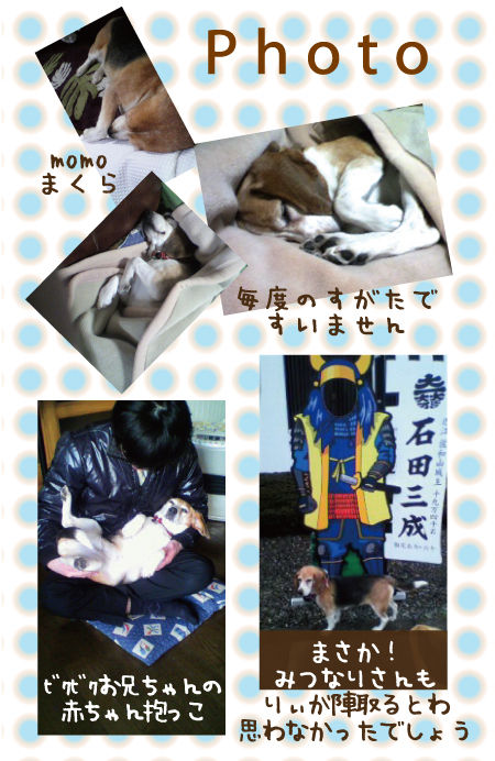 20110218_Photo