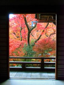 宝筺院 ②