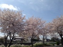 8a9963b0.jpg