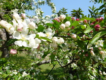 919c4123.jpg