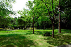 高輪プリンスホテル庭園1