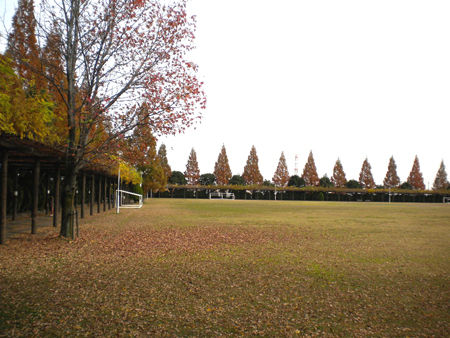 赤坂スポーツ公園