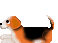 image2492