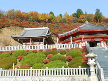 DSCN0033