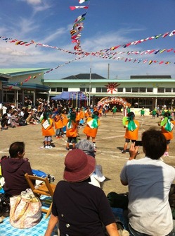 a03a90b6.jpg