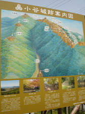 ①