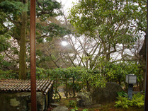 庭②