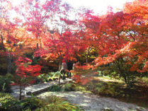 宝筺院 ④