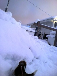 2011-12-27-1