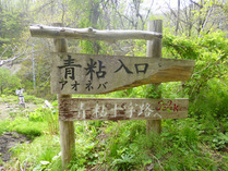 ③-1 青粘登山口