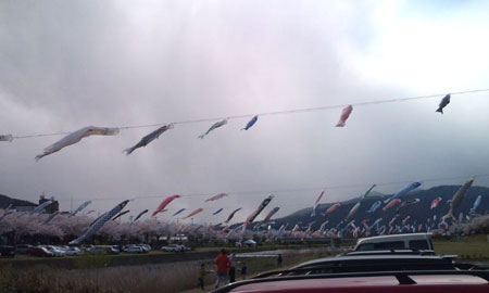 04-2