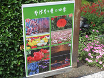看板