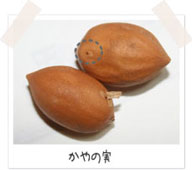 かやの実