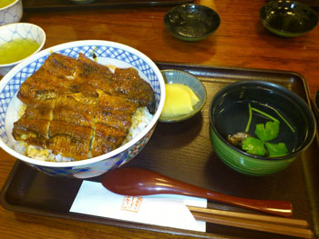 鰻