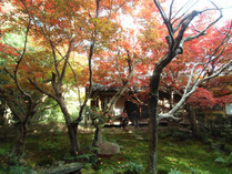 厭離庵 ①
