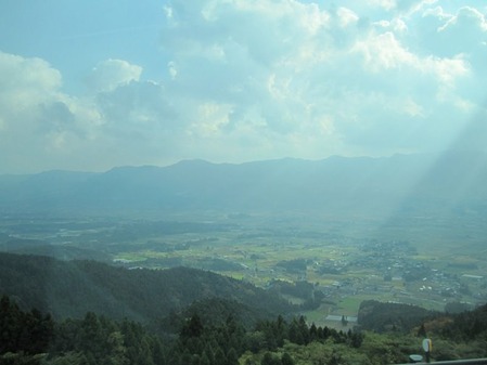 df181293.jpg