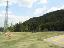 P4270010