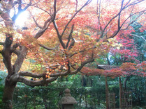 厭離庵 ②