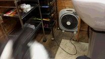 e67c31b4.jpg