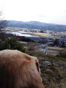 頂上からの関ヶ原