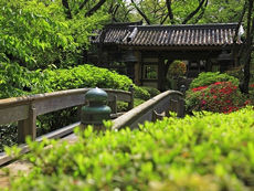 高輪プリンスホテル庭園4
