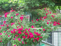06-2