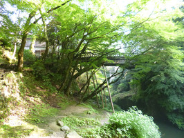 こおろぎ橋 1