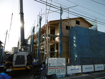 f525a7eb.jpg