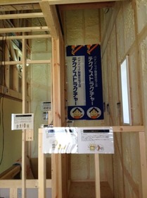 f77897d8.jpg