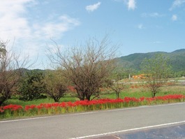 PA010001
