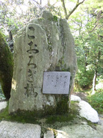 こおろぎ橋 2