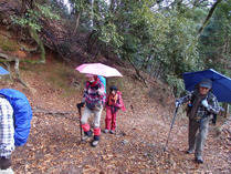 ⑥参道登り・登山開始