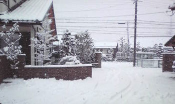 雪