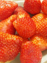 43295a0f.jpg