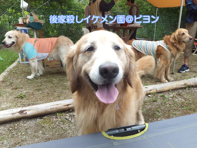 ビヨン笑顔