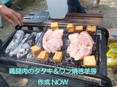 DSCF4613b