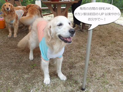 エリー看板娘