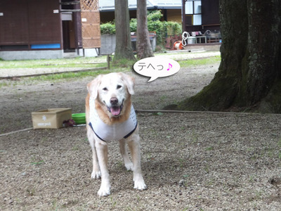 ジー斜め