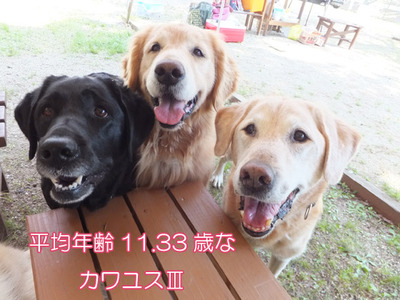DSCF4624b